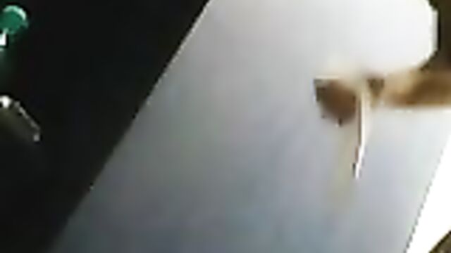 Скрытая камера в женской душевой