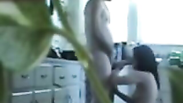 Голая жена отсасывает хуй мужу на кухне