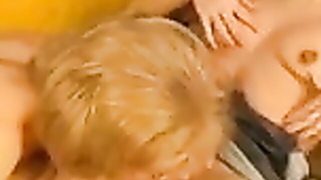 Похотливая мамаша отлизала пизду своей дочери