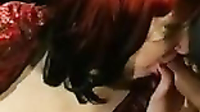 Пацан вылизал пизду бабке и жестко оттрахал ее