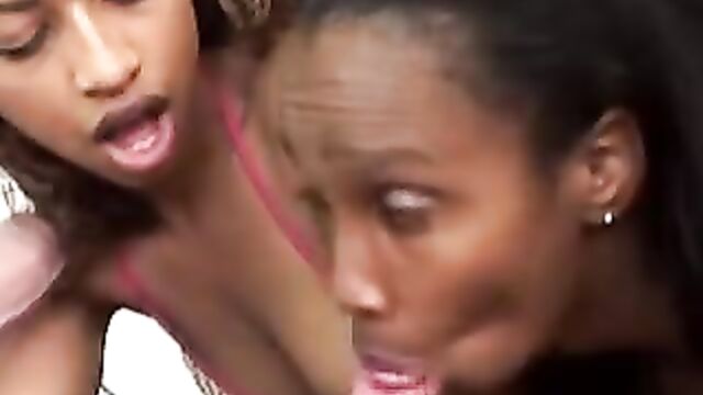 Две молодые темнокожие шкуры делают минет белому парню