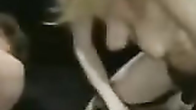 Сексуальные похождения светловолосой красавицы