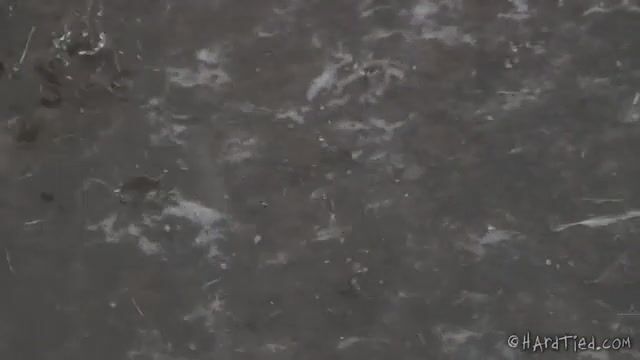 Господин прогулялся с голой рабыней и привязал к столбу