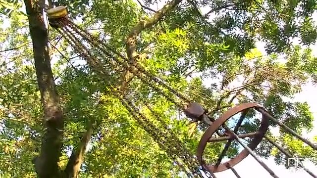 Татуированная рабыня в металлической клетке сильно возбуждает хозяина