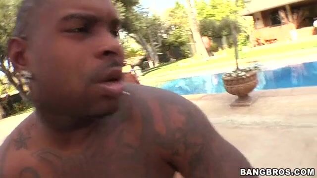 Большие черные члены помогли белой бабе сладко кончить