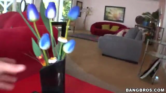 Чернокожий парень бодро засаживает в промежность белой подружке